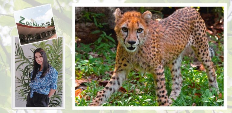 Covid-19: Sharifah Sakinah prihatin nasib haiwan di Zoo Negara 