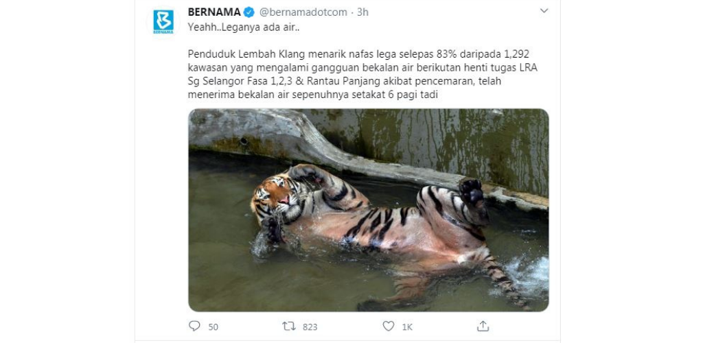 harimau mandi