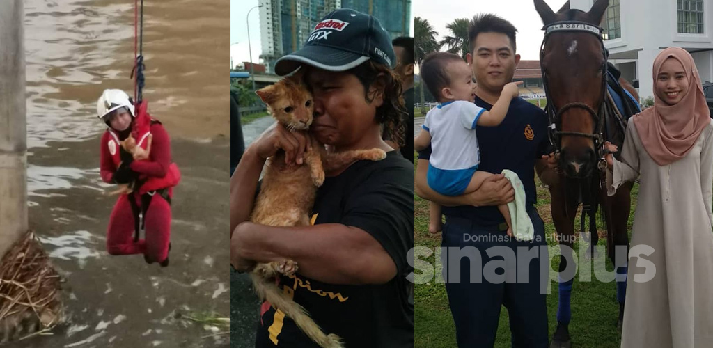 (VIDEO) Selamatkan kucing, bukan 'kakak bomba' tapi abang