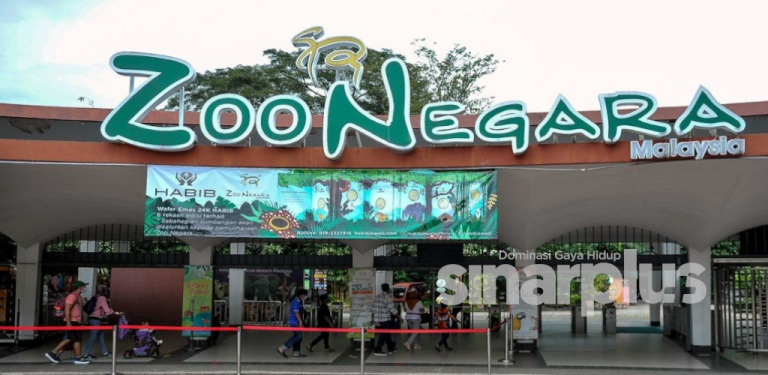 Kempen ‘santai di Zoo’, diskaun 40 peratus menanti pengunjung, boleh beli di Shopee