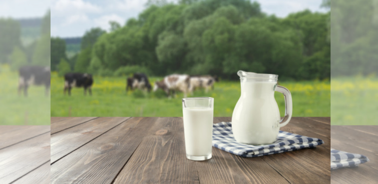 Elak minum susu ketika sedang dalam proses berdiet, cara ...