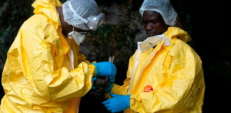 Profesor temui virus Ebola beri peringatan berkemungkinan ada virus baharu bakal menyerang dunia selepas Covid-19
