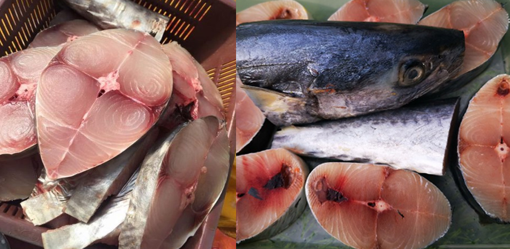 Waspada ikan tenggiri lebih pencemaran merkuri berbanding ikan kembung. Ini penjelasan Dr Imelda