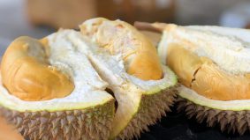 Musim durian tiba sekali dengan ‘total lockdown,’ warganet cadang pekebun jual online