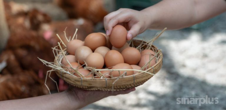 5 mitos tentang telur yang tak perlu anda percayai. Pakar pemakanan bantu beri pencerahan