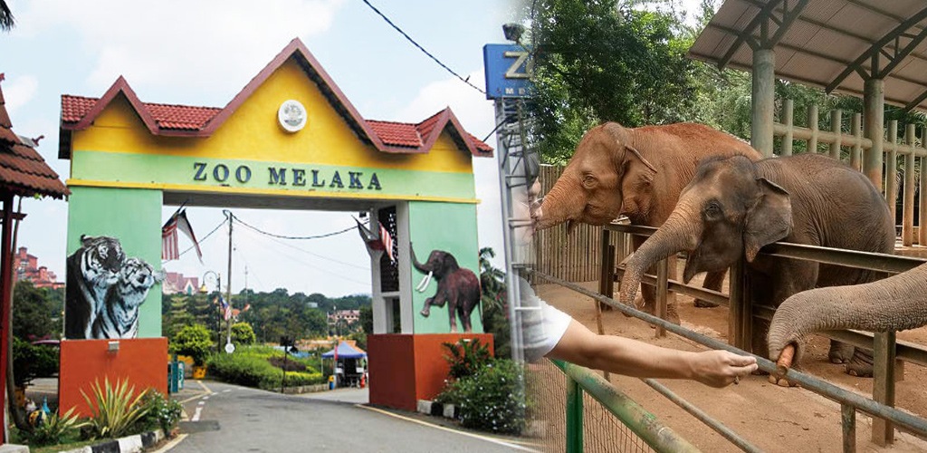 Melaka zoo Malacca Zoo,