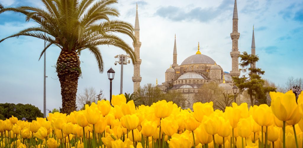 5 jenis bunga terkenal di Turki. Cantik, tapi hati-hati ada yang beracun