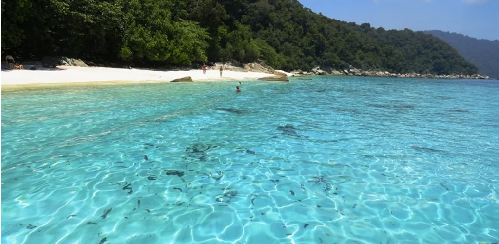 Aktiviti menyelam di Pulau Perhentian bertukar mimpi ngeri! Lelaki ditemukan lemas, terapung