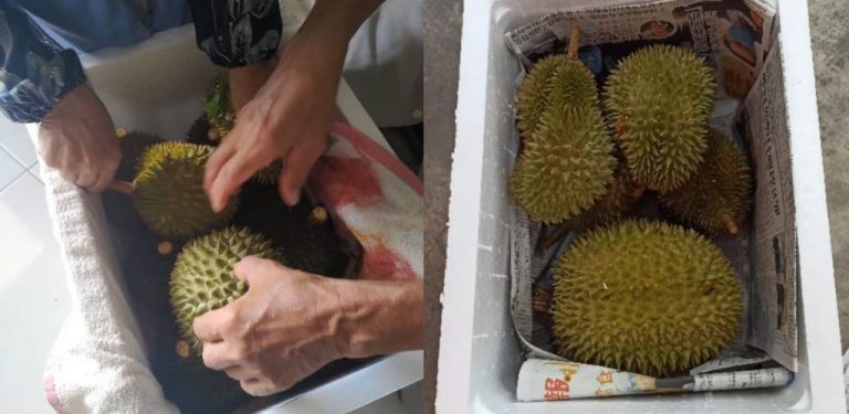 Wanita kongsi tip kurier buah durian, kos murah, cara-caranya...