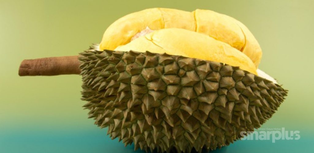 Vaksin lepas makan durian