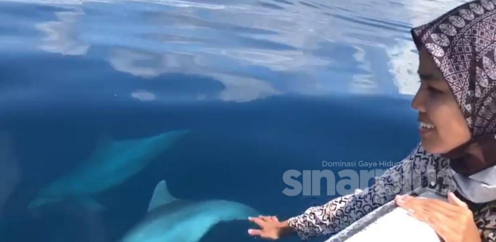 [VIDEO] Pengurus resort kongsi moment manis 'bermain' ikan lumba-lumba di Pulau Tioman