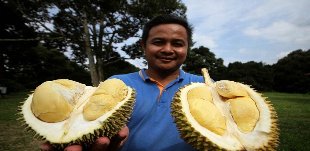 Senangnya beli durian guna online