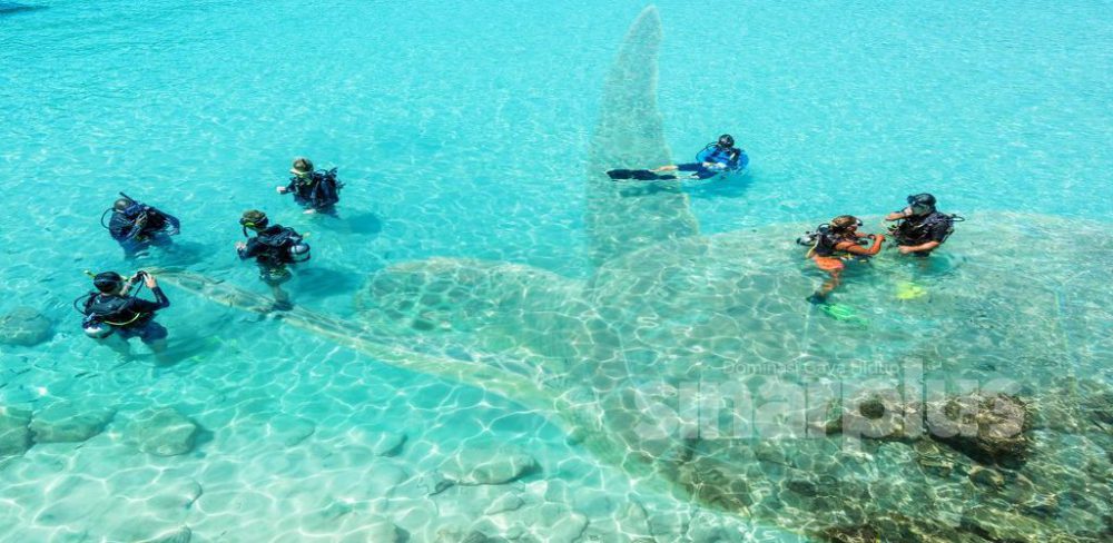 Sebelum Jejak Pulau Perhentian Kaki Snorkeling Kena Tahu Port Baik Ni Sinar Plus