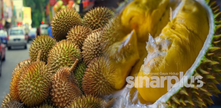 Harga durian PKP mahal terok! Betul ke?