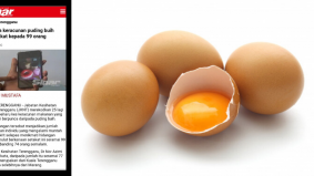 Keracunan makanan: Doktor kongsi 7 cara elak bakteria Salmonella pada kulit telur
