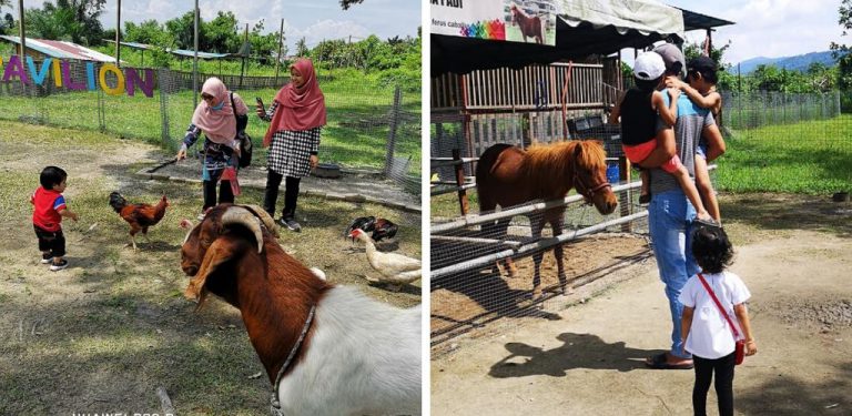 ‘Pavilion Petting Zoo’ tarikan terbaru buat pencinta haiwan di Ipoh