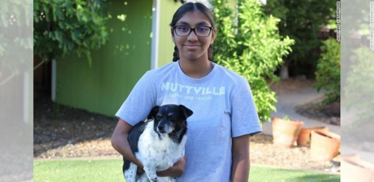 Gadis anak angkat baru usia 14 tahun bantu sediakan 'rumah' anjing tua yang ditinggalkan