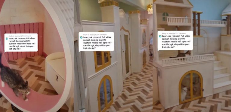 [VIDEO] Pemuda sanggup bina istana cantik untuk kucingnya. 'Belanja' warganet ikuti 'tour' eksklusif secara dekat bikin ramai geram