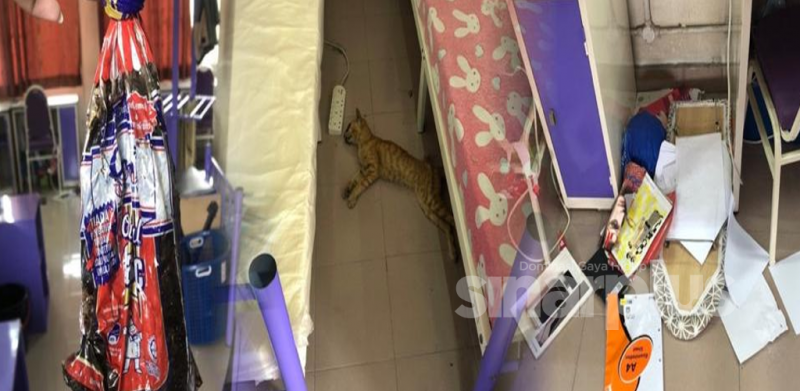 Kucing mati, laptop hilang, bilik diselongkar: Pelajar IPT terkejut lihat bilik yang ditinggal lama sepanjang PKP