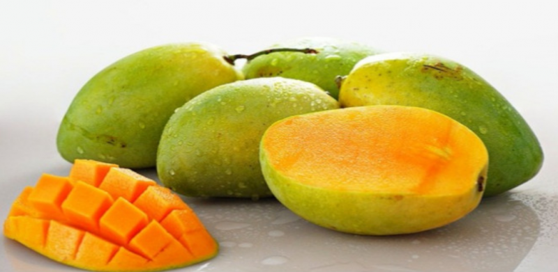 Tak rugi bagi siapa yang suka makan buah mangga!