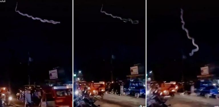 [VIDEO] Raih 14 juta tontonan, aksi ular besar melingkar atas kabel elektrik tengah bandar