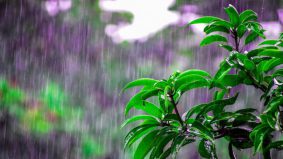Hujan berterusan di KL, Putrajaya dan 9 negeri sehingga 4 Januari ini