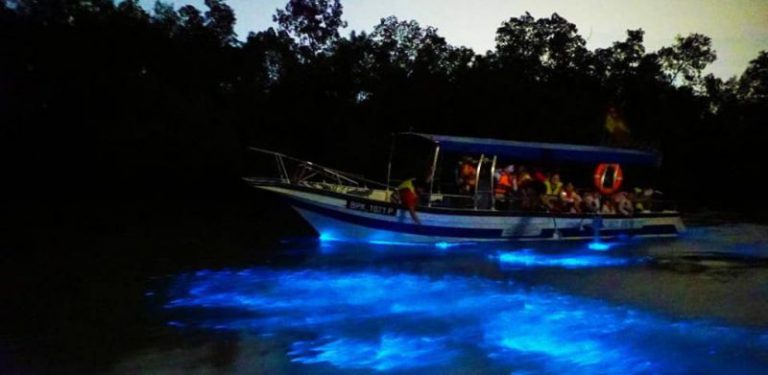 Blue Tears, penemuan luar biasa di Kuala Selangor. Laut bercahaya dengan warna kebiruan