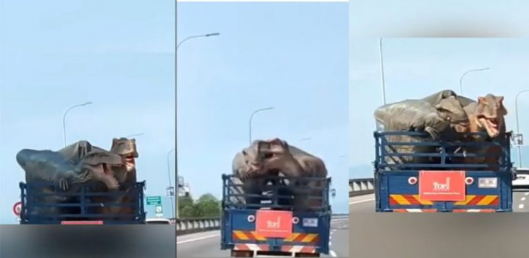 [VIDEO]2 ekor T-Rex mesra di atas lori tarik perhatian, 'bersiar-siar' di Jambatan Pulau Pinang