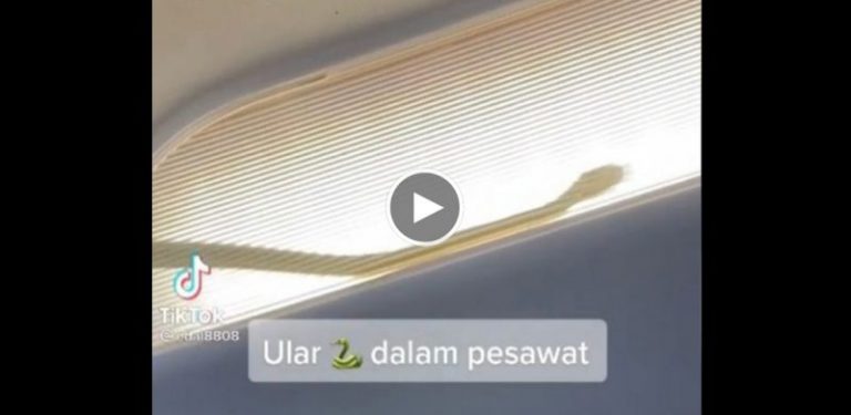 [VIDEO]Gempar ular dalam pesawat ke Sabah, 'ini real Snakes On A Plane'