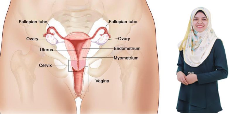 Kanser organ reproduktif wanita: Rawatan pembedahan ragut peluang untuk dapat zuriat?