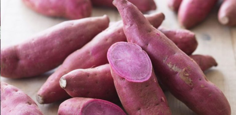 Banyak khasiatnya patutlah ubi keledek ungu termasuk 'Super Food'